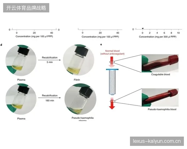 上海队传导球体系炉火纯青，流畅的团队配合为其高效的转换进攻奠定基础
